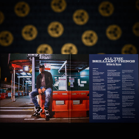 Skyzoo - All The Brilliant Things (LP - Indie Exclusive)