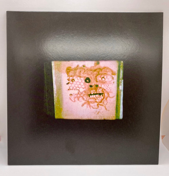 Chris Orrick - I Read That I Was Dead (LP)