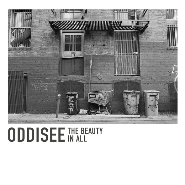 Oddisee - The Beauty In All (LP - White Vinyl Edition)