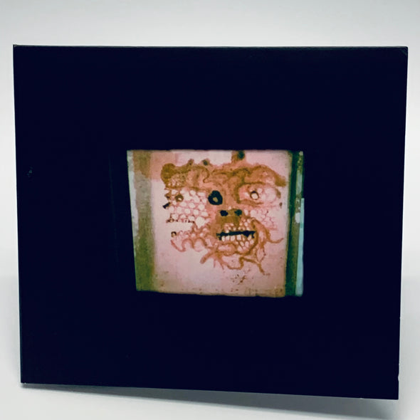 Chris Orrick  - I Read That I Was Dead (CD)